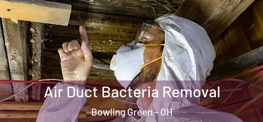 Air Duct Bacteria Removal Bowling Green - OH
