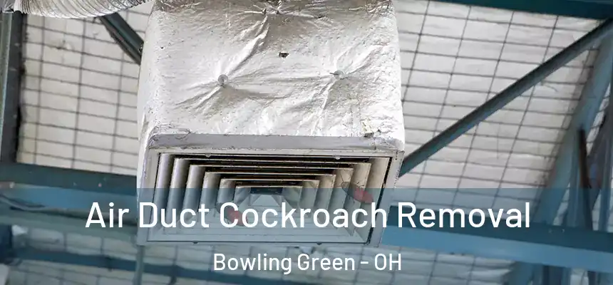  Air Duct Cockroach Removal Bowling Green - OH