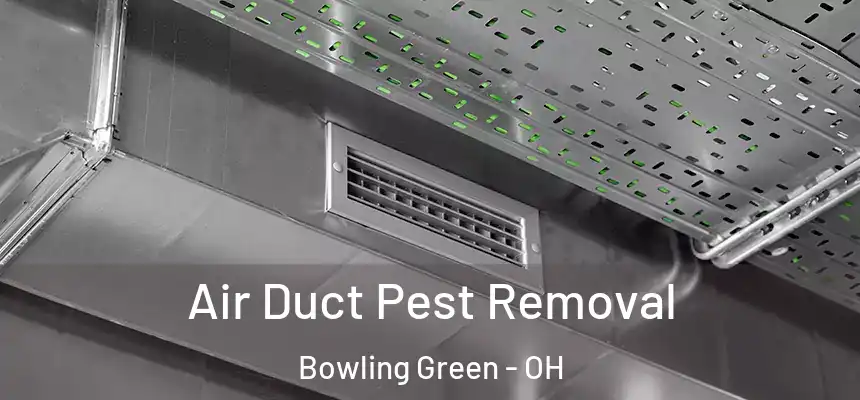 Air Duct Pest Removal Bowling Green - OH