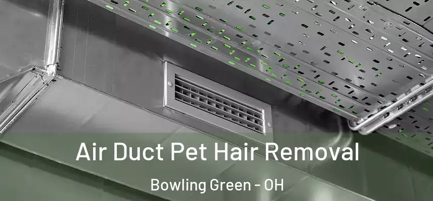 Air Duct Pet Hair Removal Bowling Green - OH