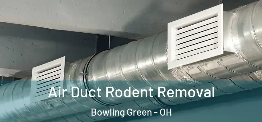 Air Duct Rodent Removal Bowling Green - OH
