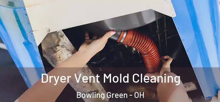  Dryer Vent Mold Cleaning Bowling Green - OH