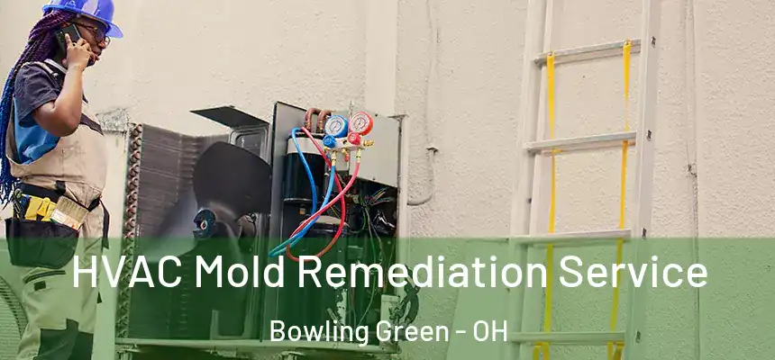 HVAC Mold Remediation Service Bowling Green - OH