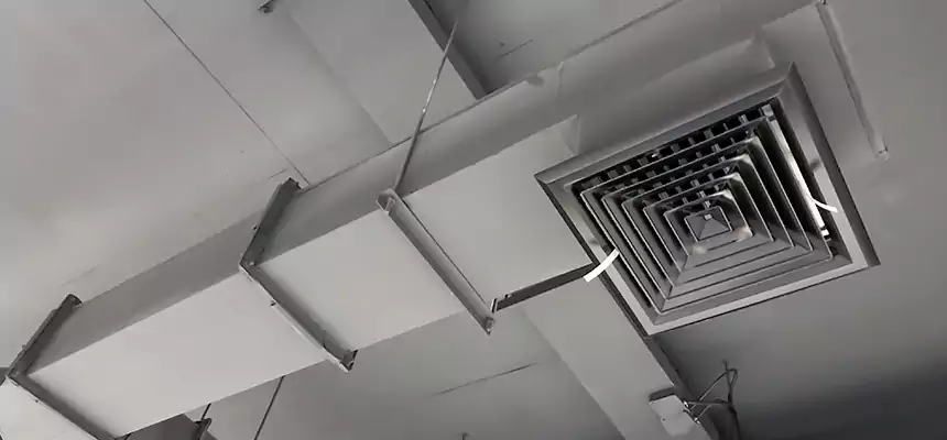 Our Rodent Droppings In Vents Services in Bowling Green, OH