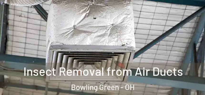 Insect Removal from Air Ducts Bowling Green - OH