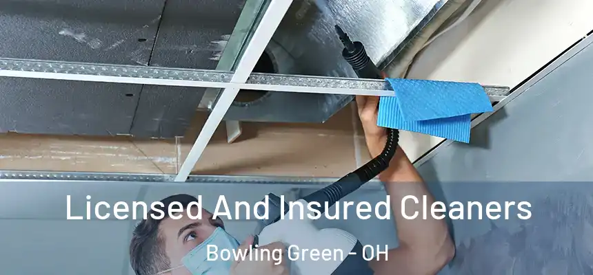  Licensed And Insured Cleaners Bowling Green - OH