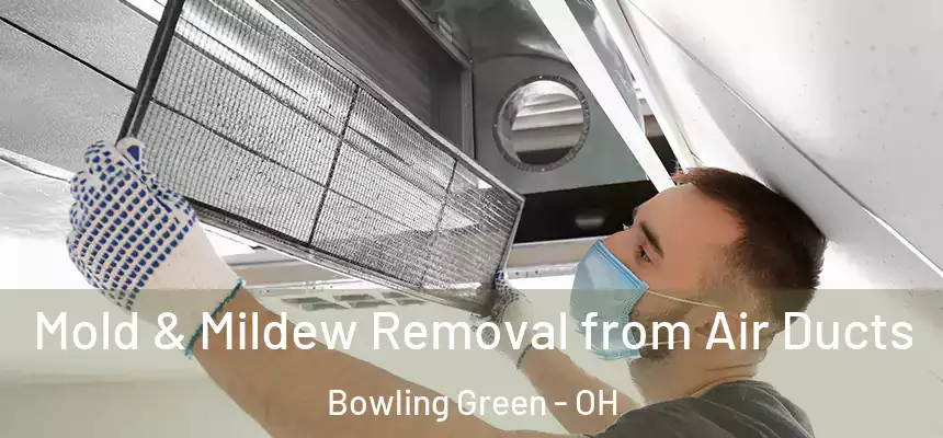 Mold & Mildew Removal from Air Ducts Bowling Green - OH