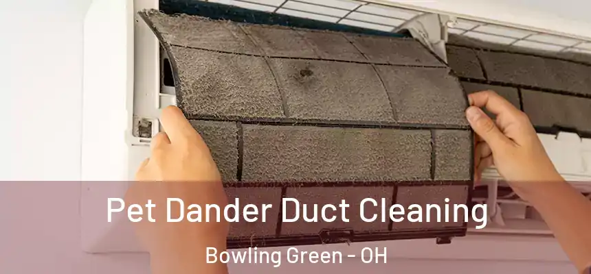 Pet Dander Duct Cleaning Bowling Green - OH