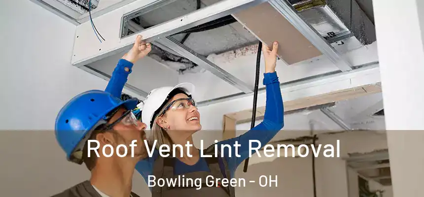 Roof Vent Lint Removal Bowling Green - OH