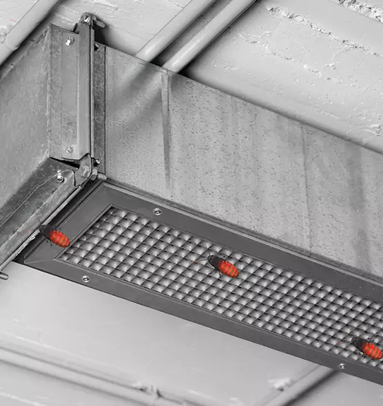 About Air Duct Cockroach Removal in Bowling Green, OH