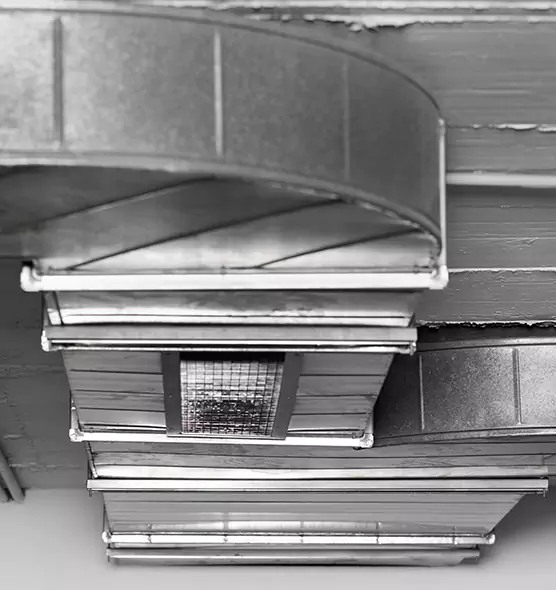 Professional Air Duct Pest Removal in Bowling Green, OH