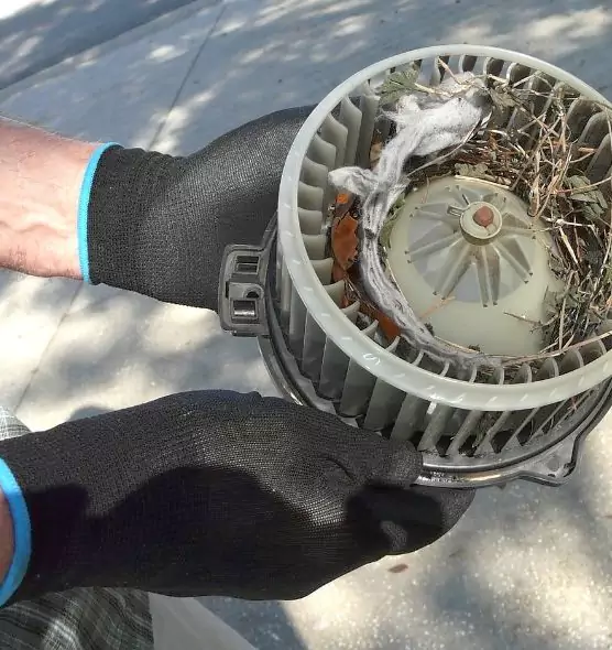 About Air Duct Rat Removal in Bowling Green, OH