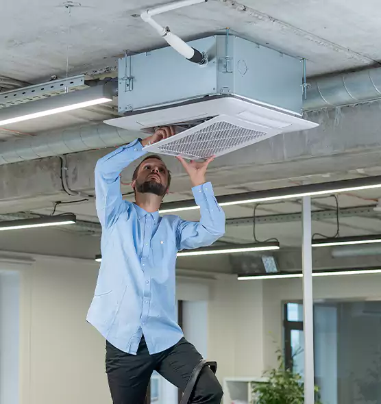 Advanced Rodent Droppings In Vents in Bowling Green, OH