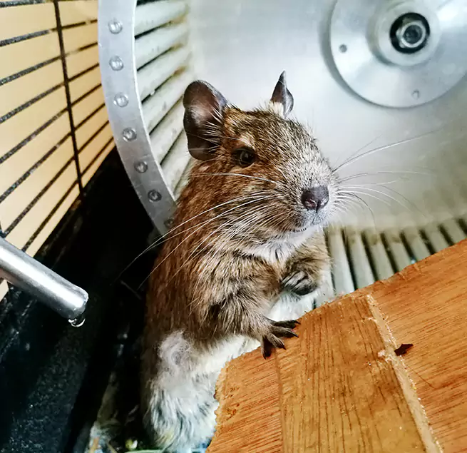 Why Homeowners & Businesses Trust Us Bowling Green, OH?